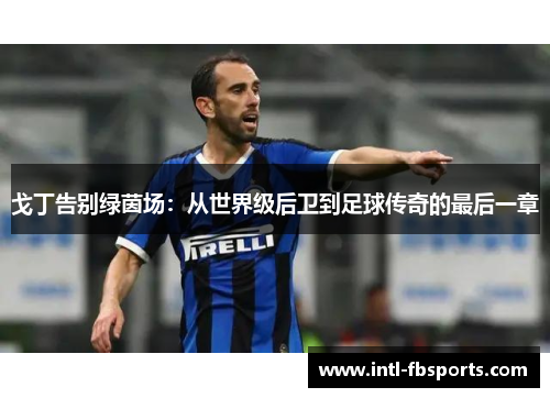 戈丁告别绿茵场：从世界级后卫到足球传奇的最后一章